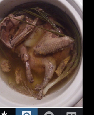 清纯鸽子汤