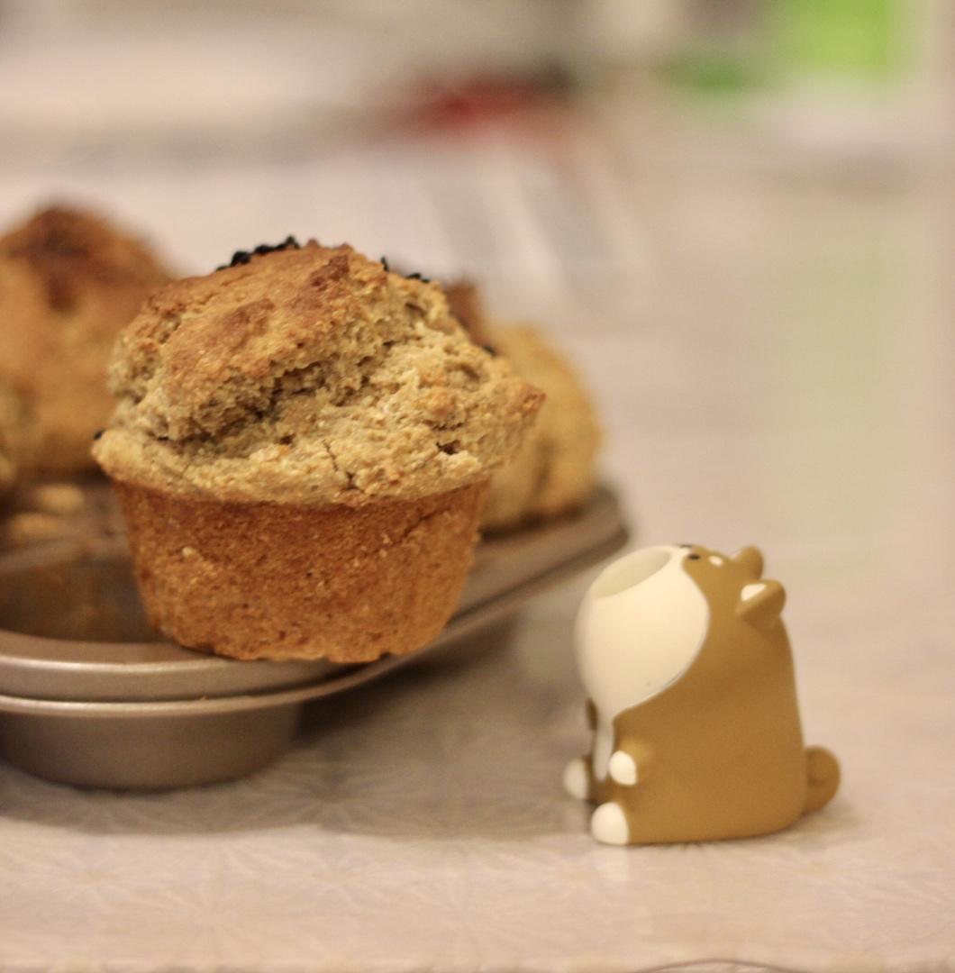 100%粗粮橙香蓝莓马芬丨健康·烘焙