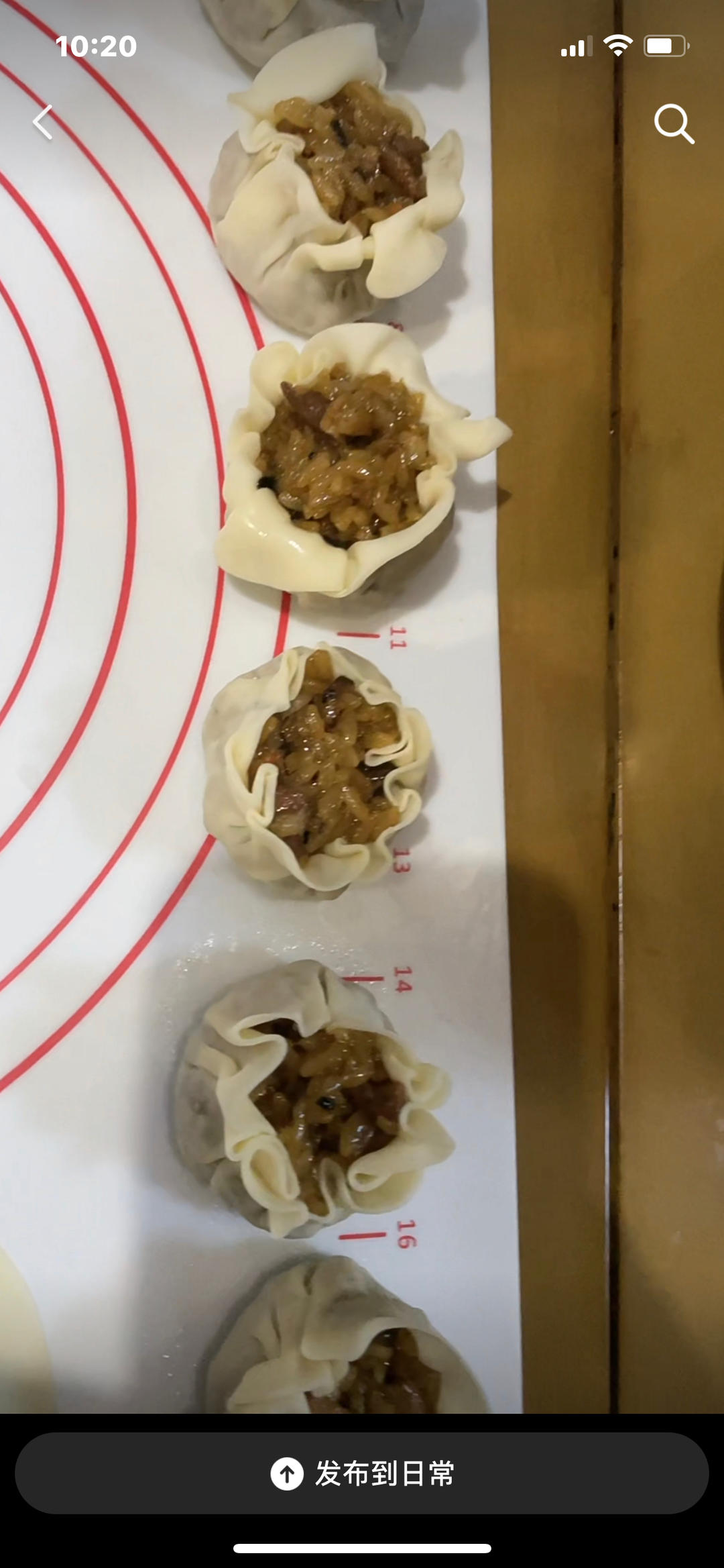 猪肉春笋糯米烧麦