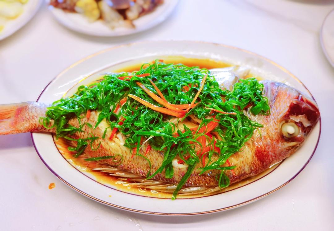 🐟《真鲷、加纳鱼料理》清蒸葱油汁真鲷▪️原汁原味清蒸鱼