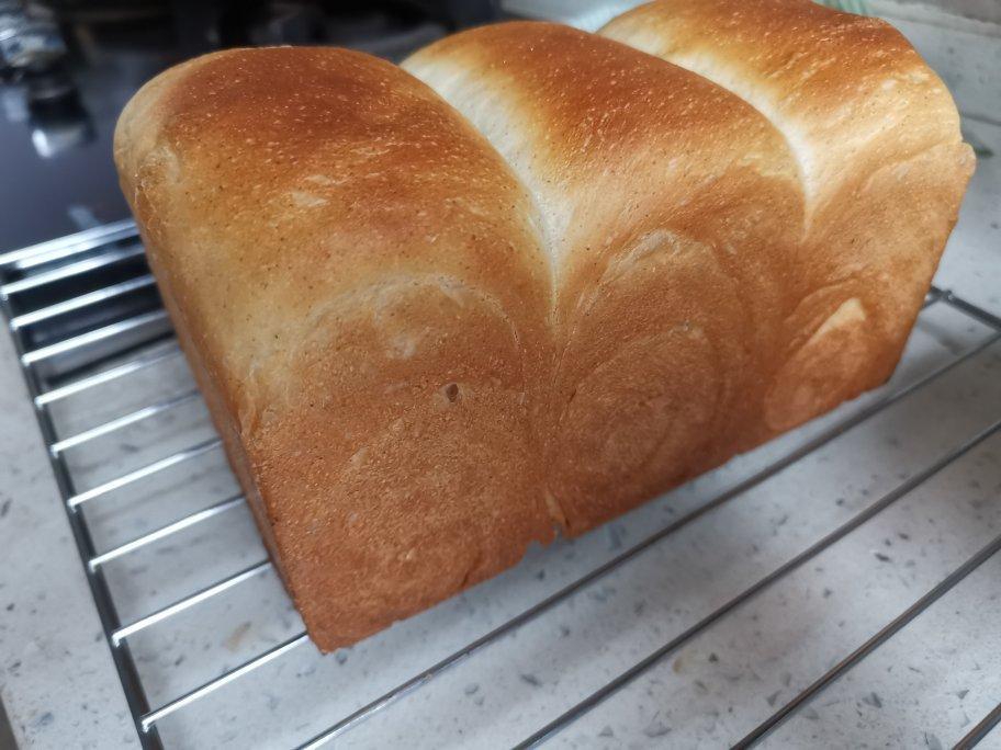 《Tinrry+》软绵绵的白吐司