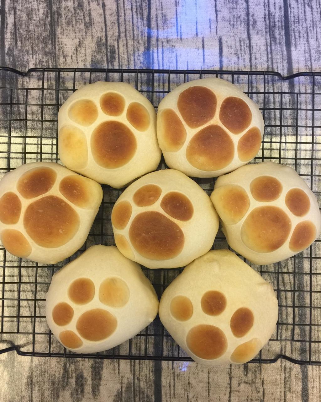 彩色斑马hi25做的猫爪椰蓉面包欧克皮的简单装饰