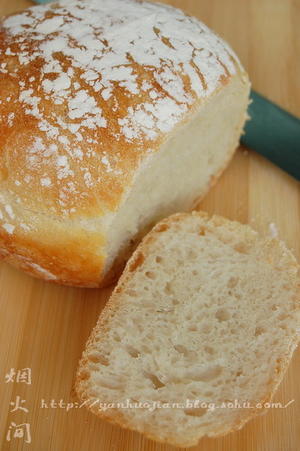 免揉面包（欧式田园风味）的做法 步骤4