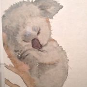 树袋熊喜欢当趴趴熊