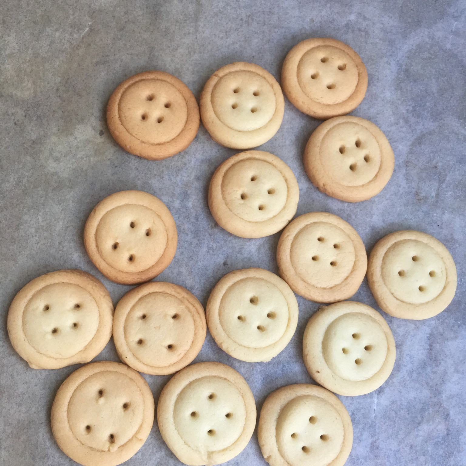 纽扣饼干┃萌到没朋友