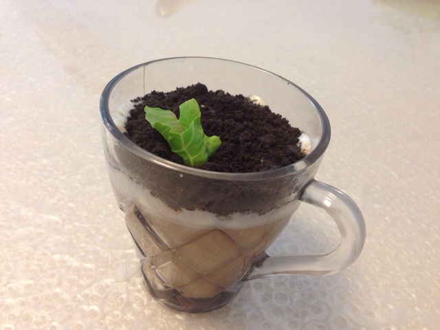 盆栽奶茶