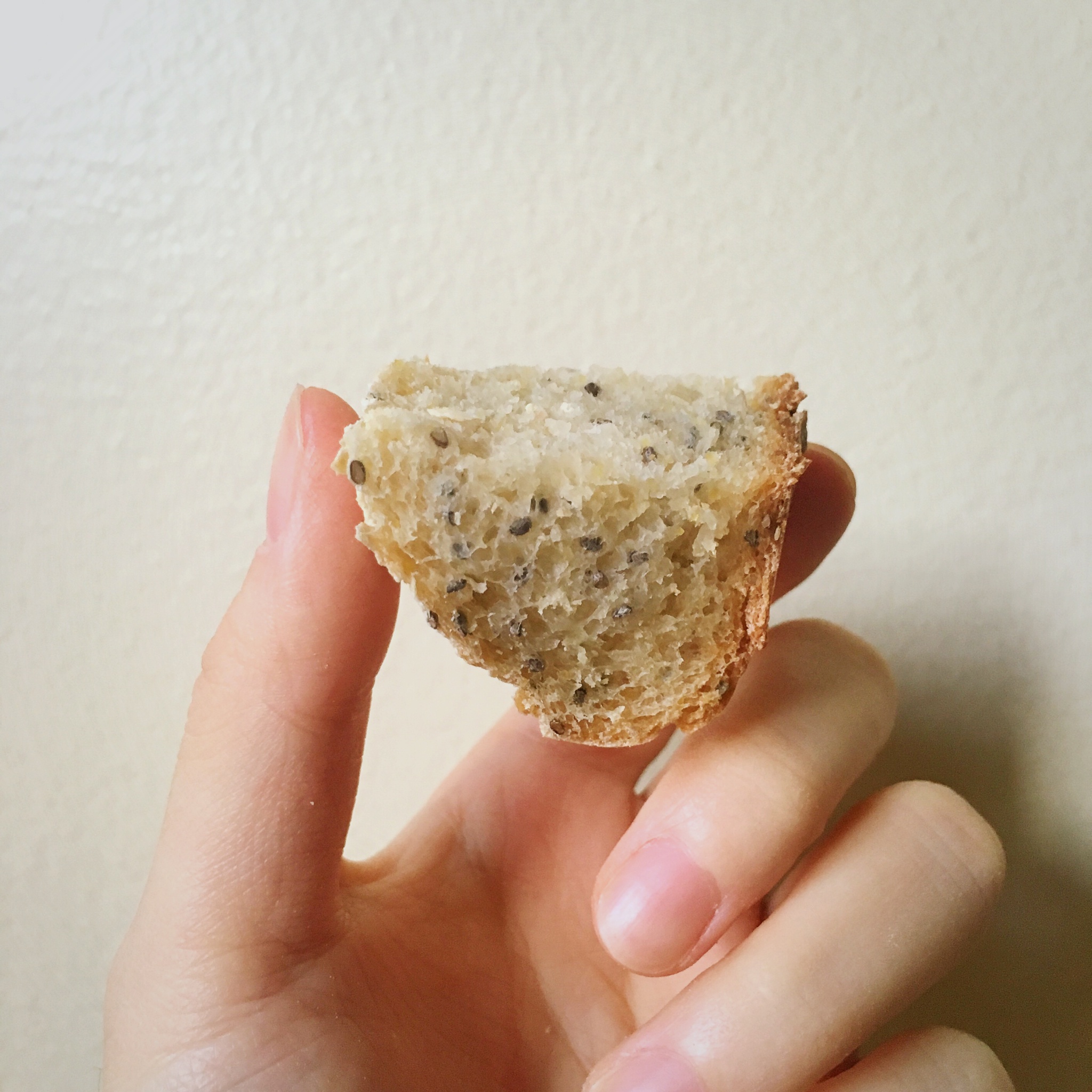 亚麻籽面包（免揉欧式面包）