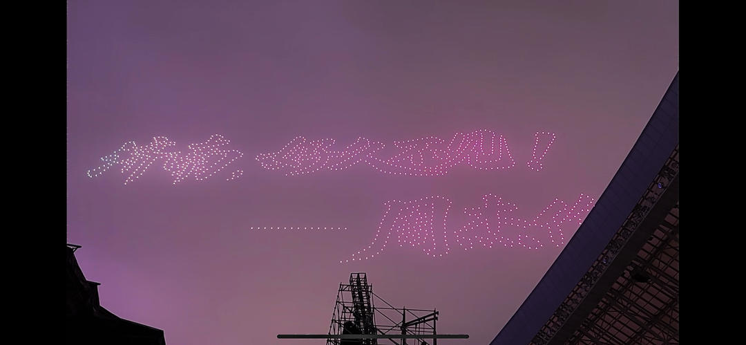 干煸芸豆（自用）