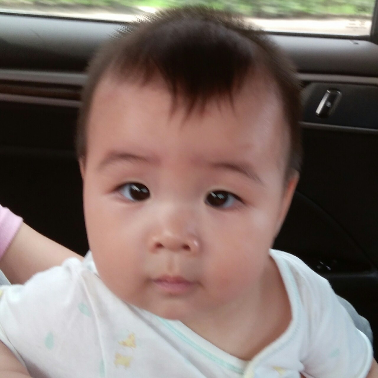 手机用户5911_p248