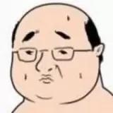 糙大妈vivier
