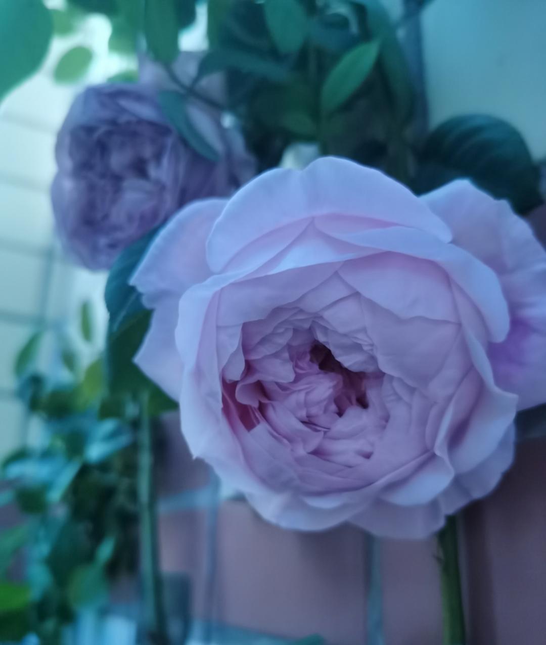 LOVE烟火气