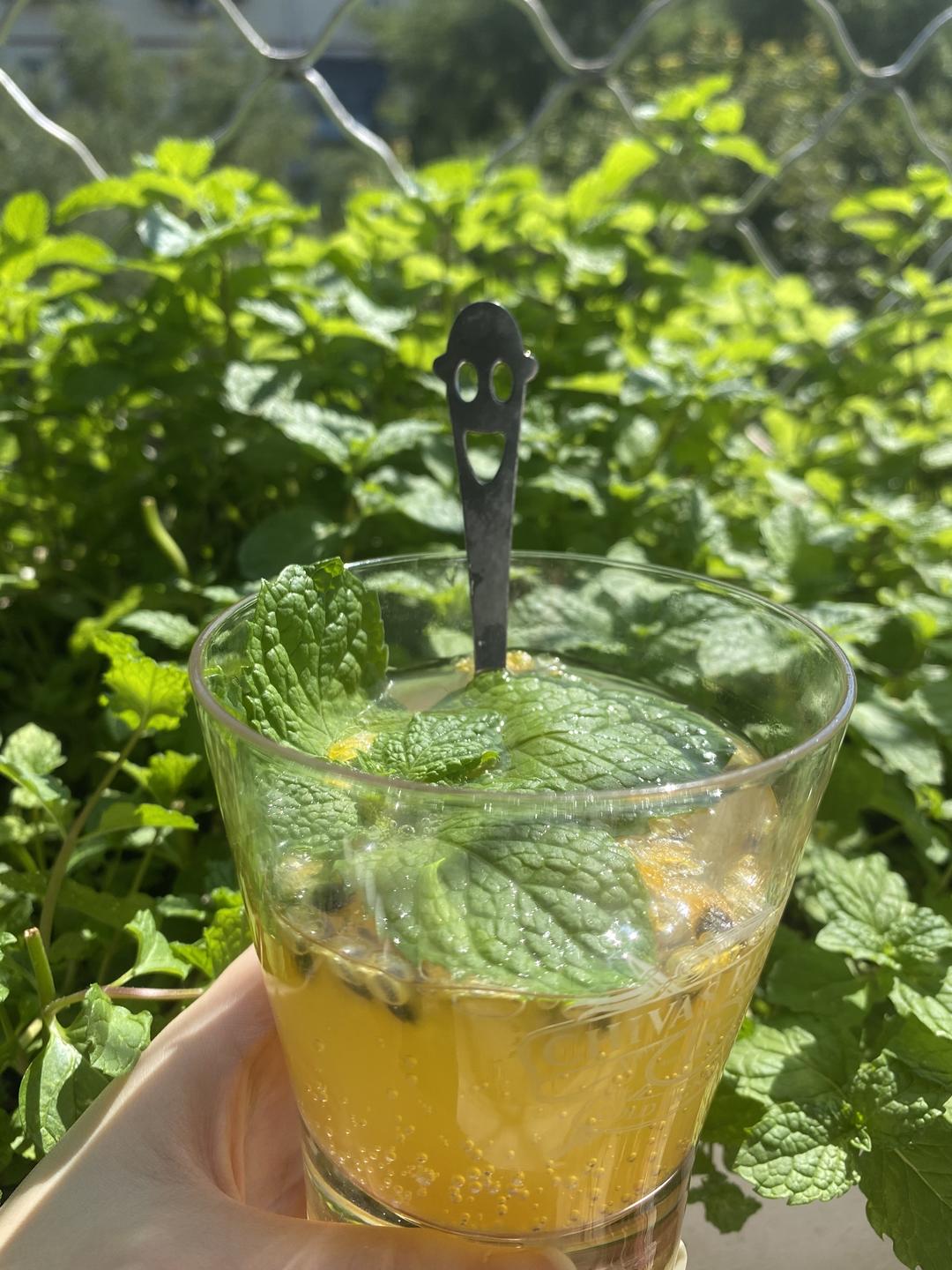 夏日清凉百香果苏打水的做法