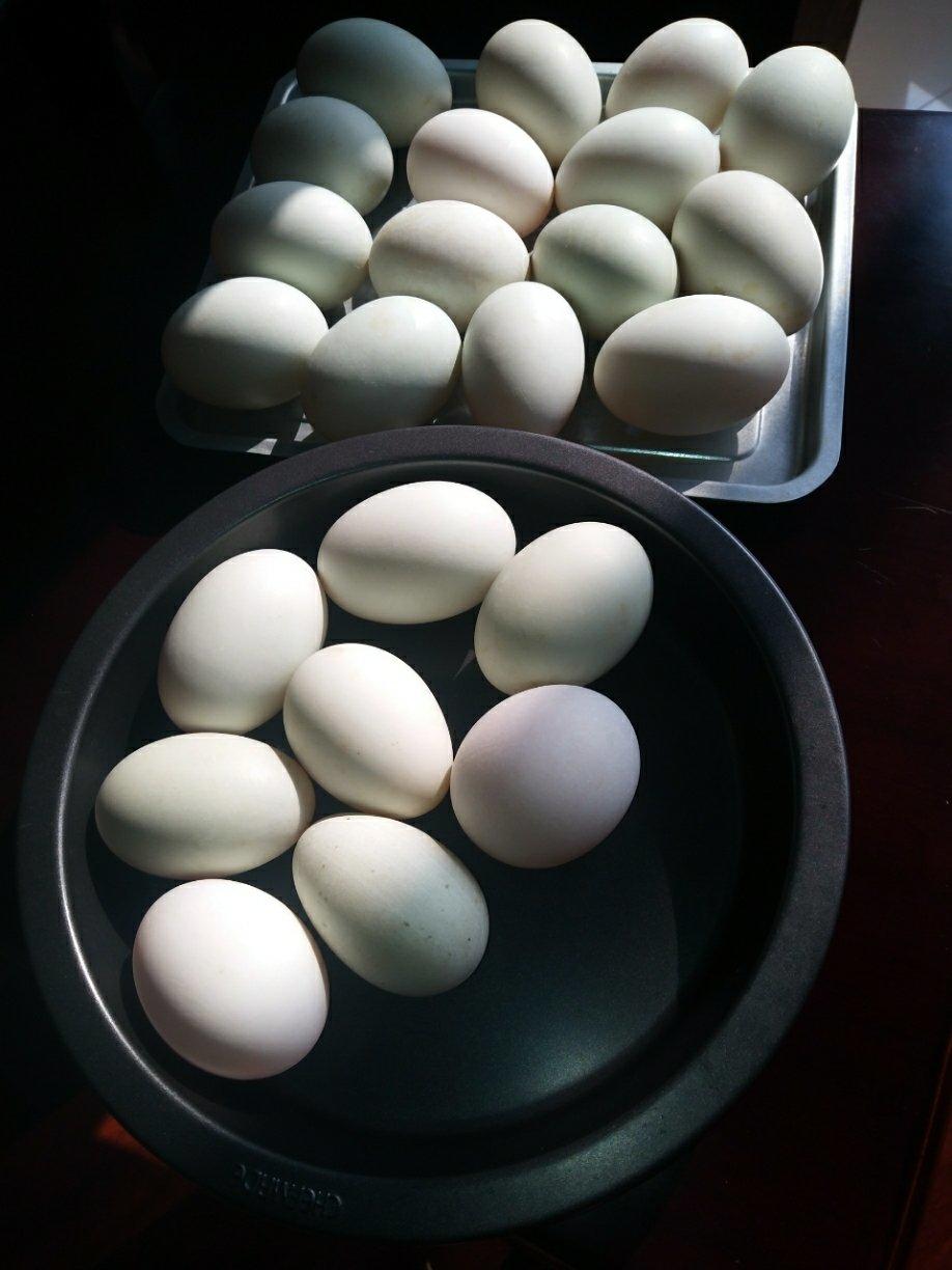 100%出油，原来流油的咸鸭蛋是这样做的——自制咸鸭蛋（多动图，孔瑶的食谱）