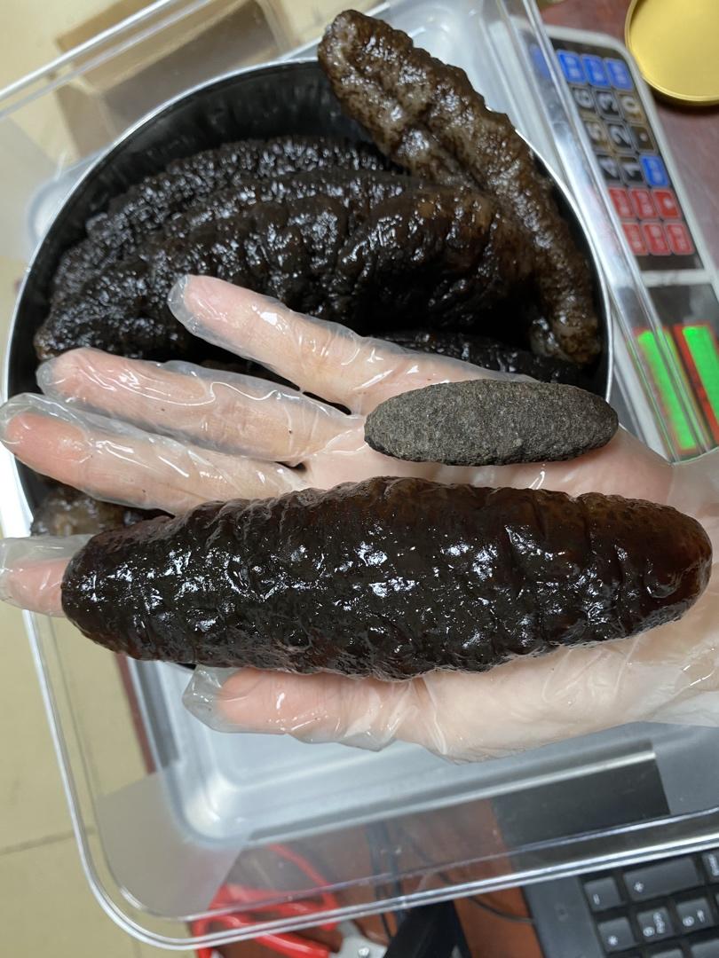 海参刺参如何泡发和保存呢？