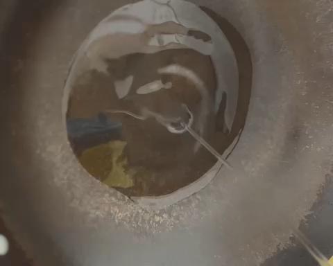 清炒丝瓜的做法 步骤5