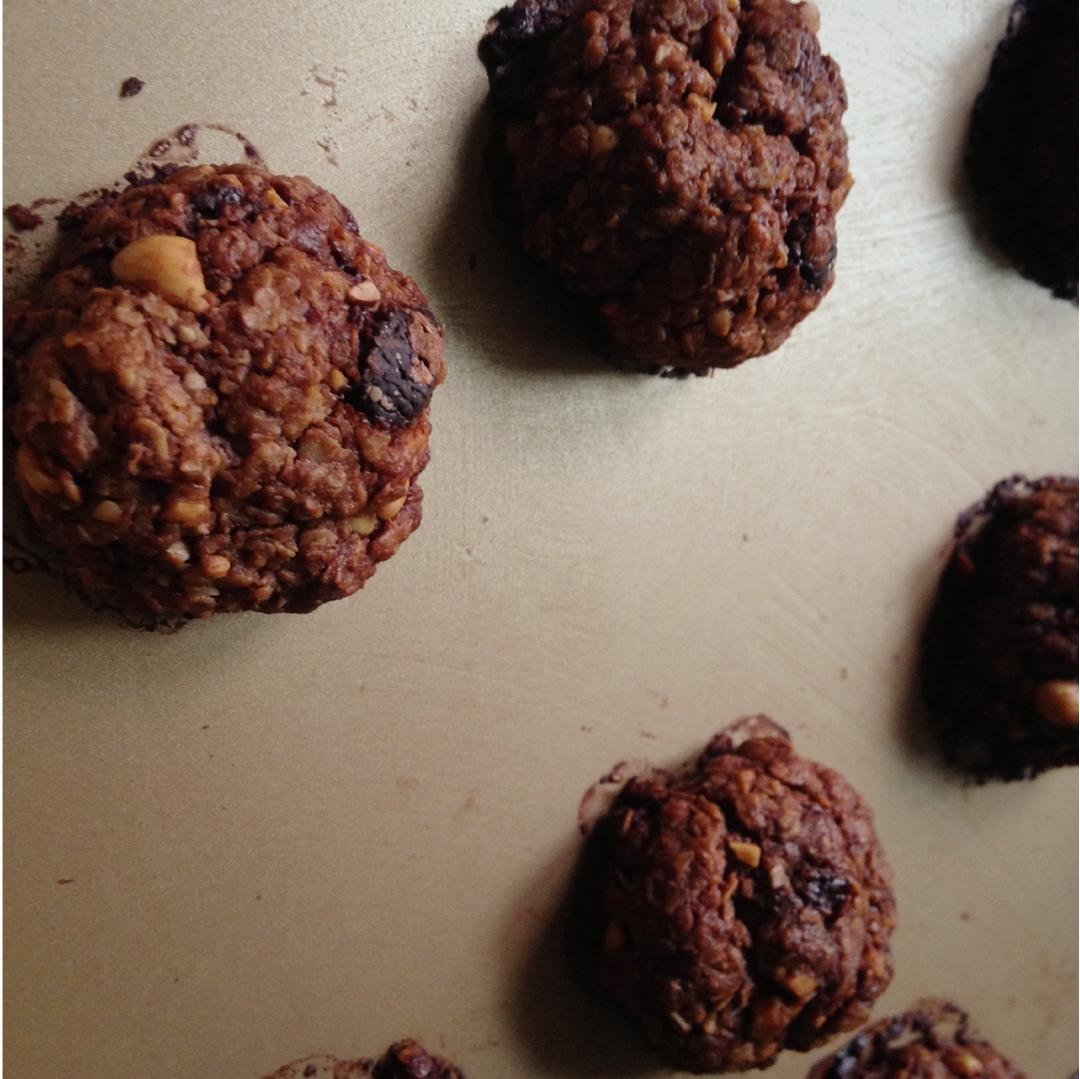 葡萄干麦片曲奇 Oats Cookies