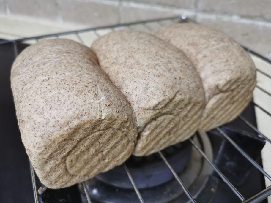 全家都爱吃的健康全麦吐司，新手也能做