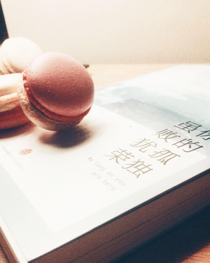 家庭烘焙DIY意式马卡龙