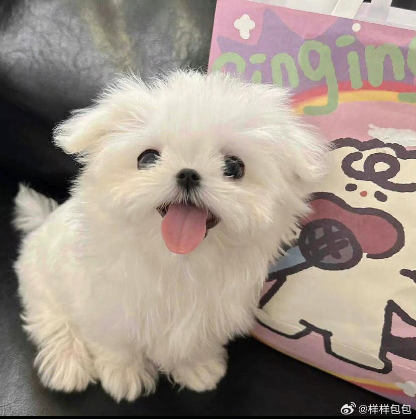 瑜若翎沫