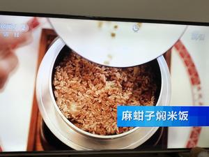 麻蚶子闷米饭的做法 步骤11