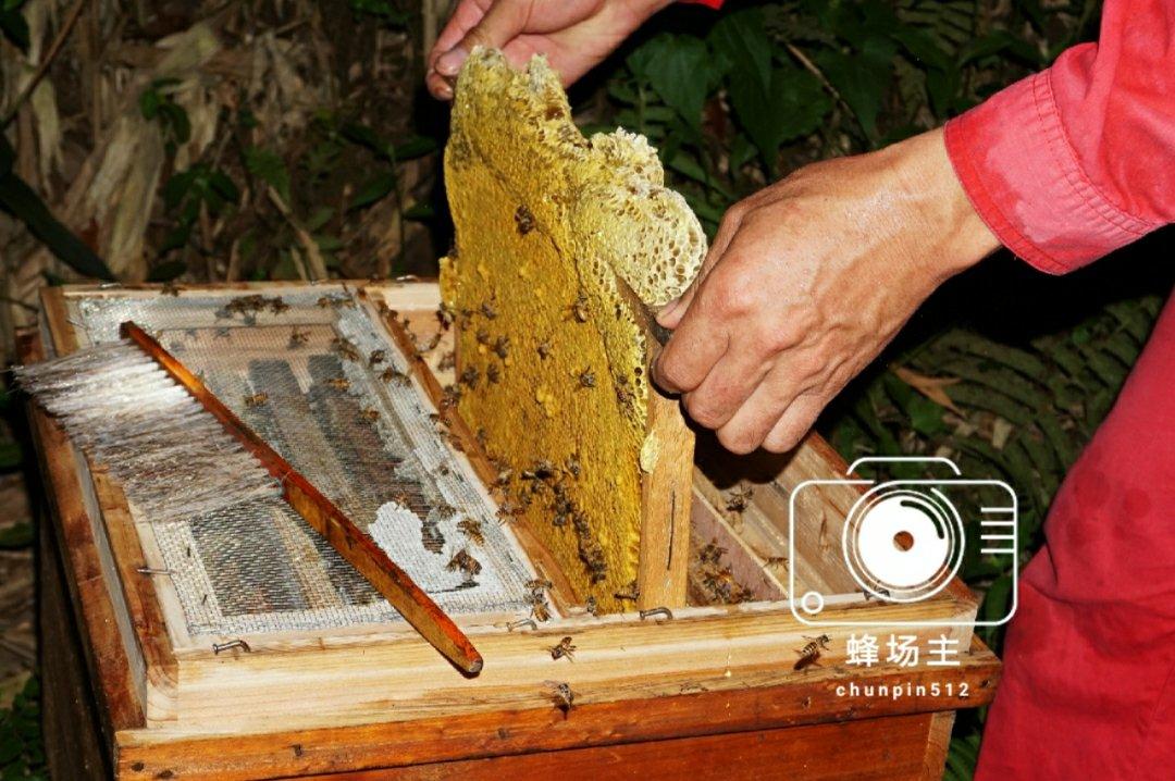 晚餐•2019年4月25日