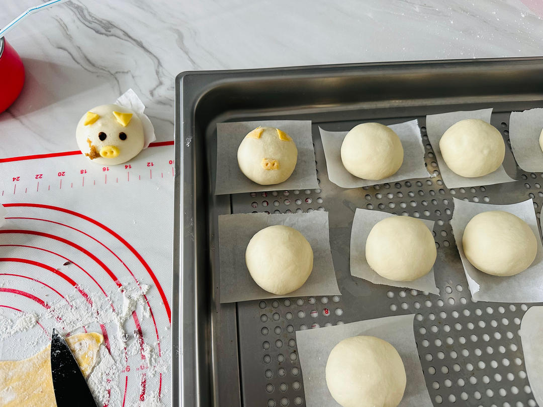 豆沙包（一次性发酵）