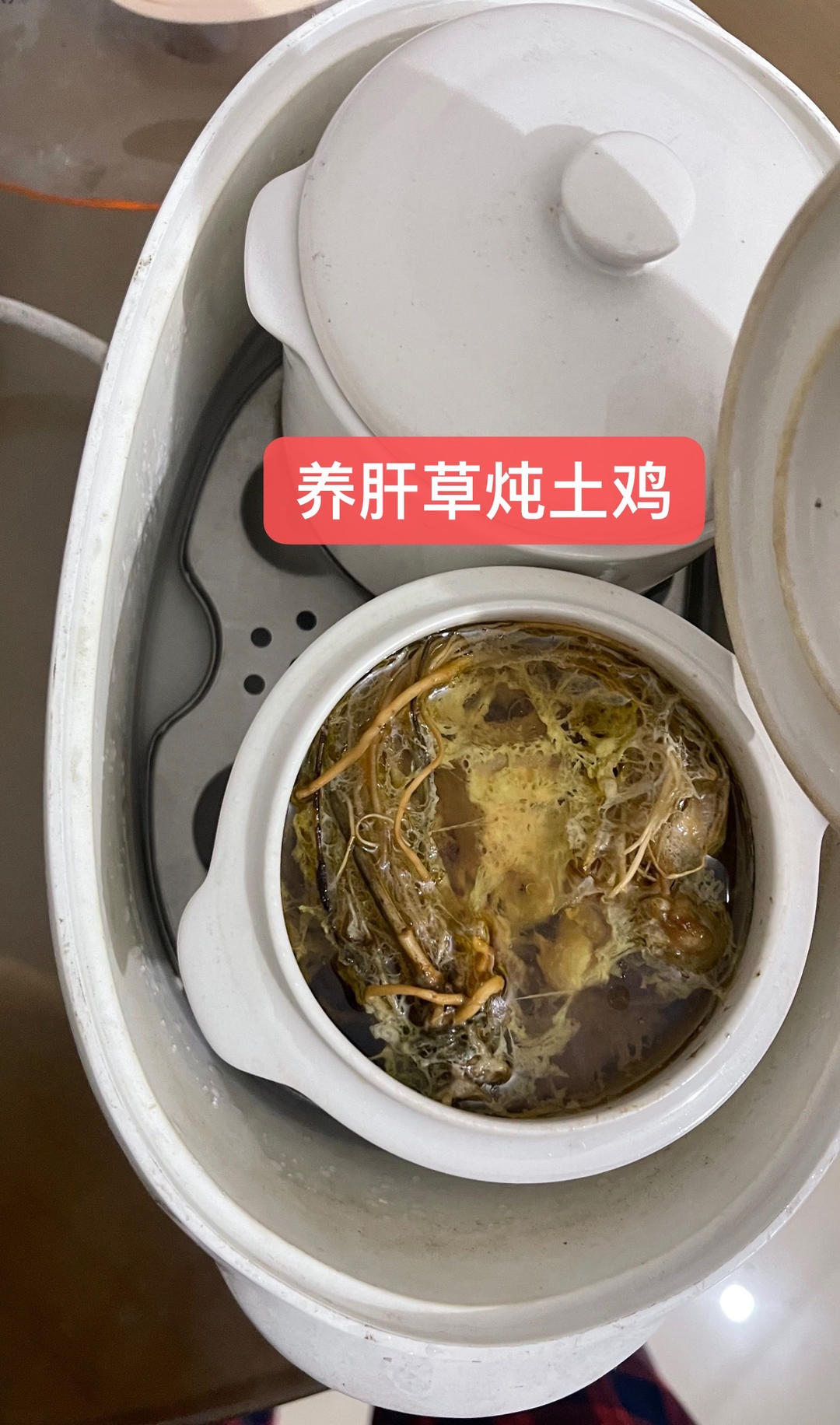 养肝草椰肉炖瘦肉汤