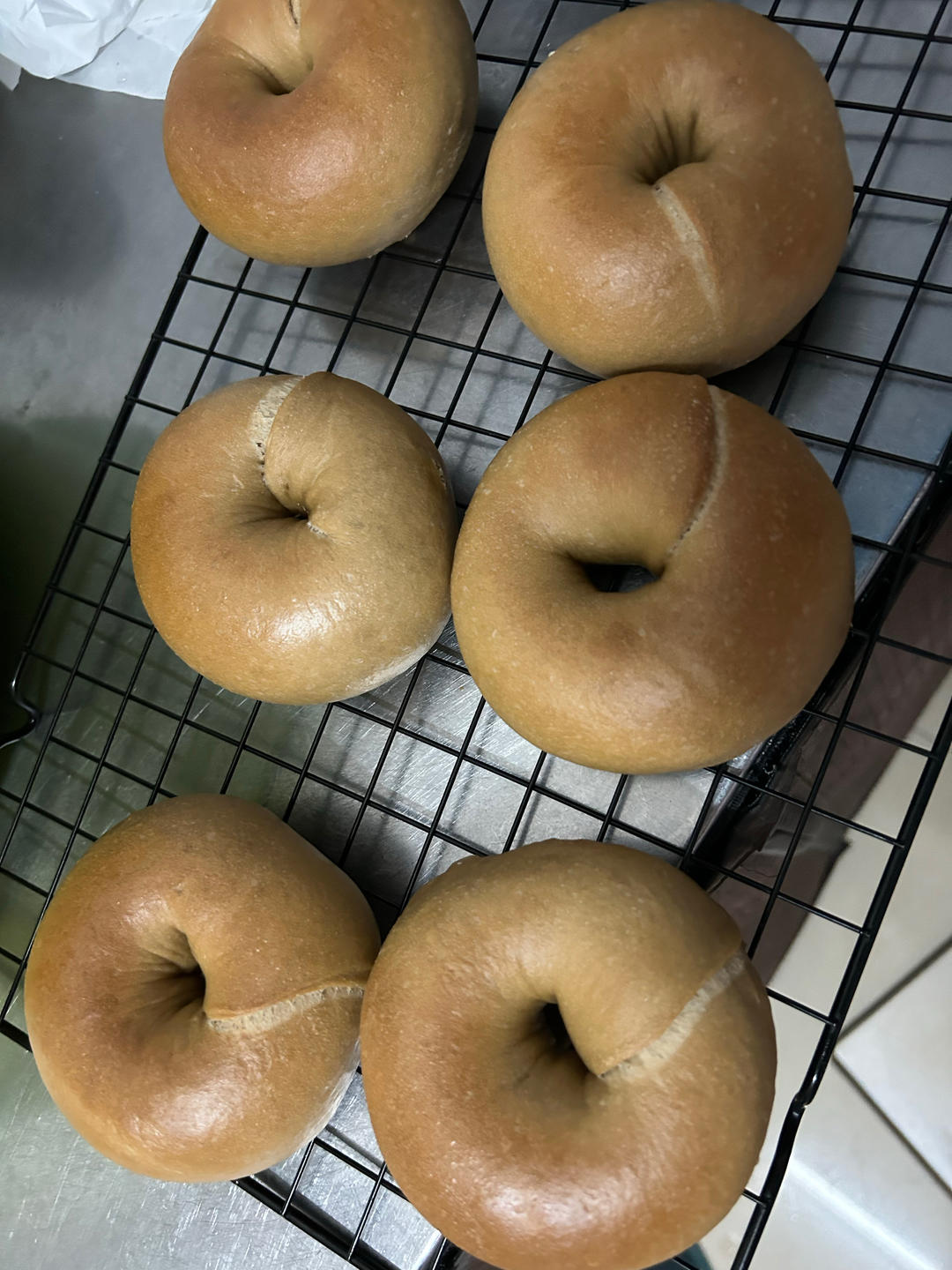 生椰拿铁乳酪贝果🥯浓郁咖啡🥥满口椰香