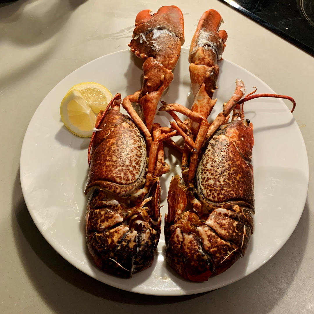 详细完整版焗烤澳洲龙虾（澳龙）
