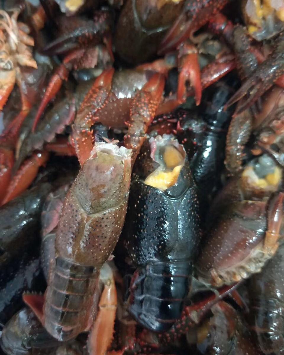 零难度麻辣小龙虾做法