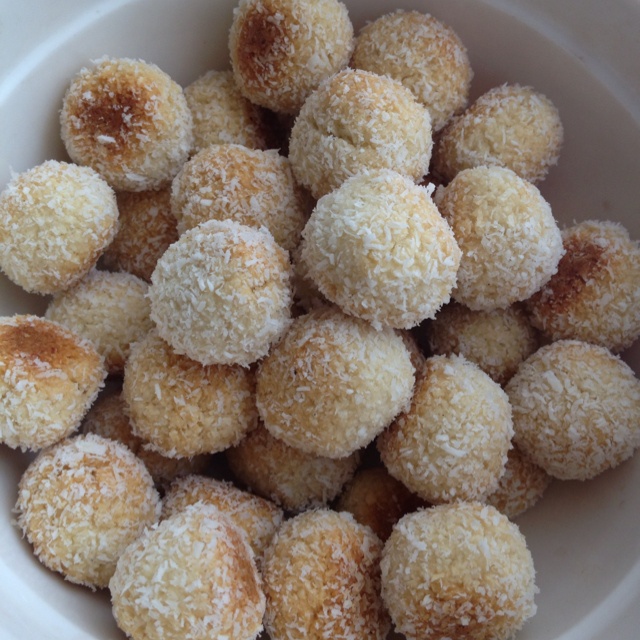 蛋白椰丝球