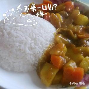 牛肉咖喱饭（好吃方便初学者版）的做法 步骤5