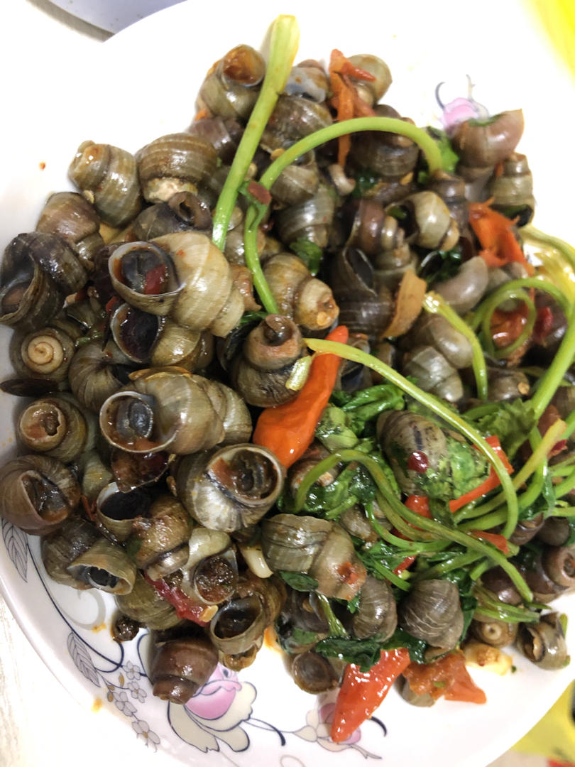 辣炒钉螺