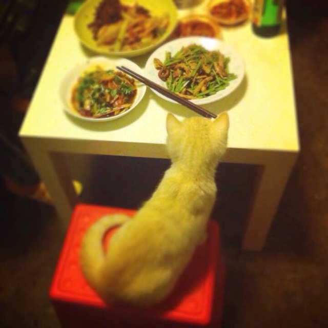 晚餐•2014年3月28日