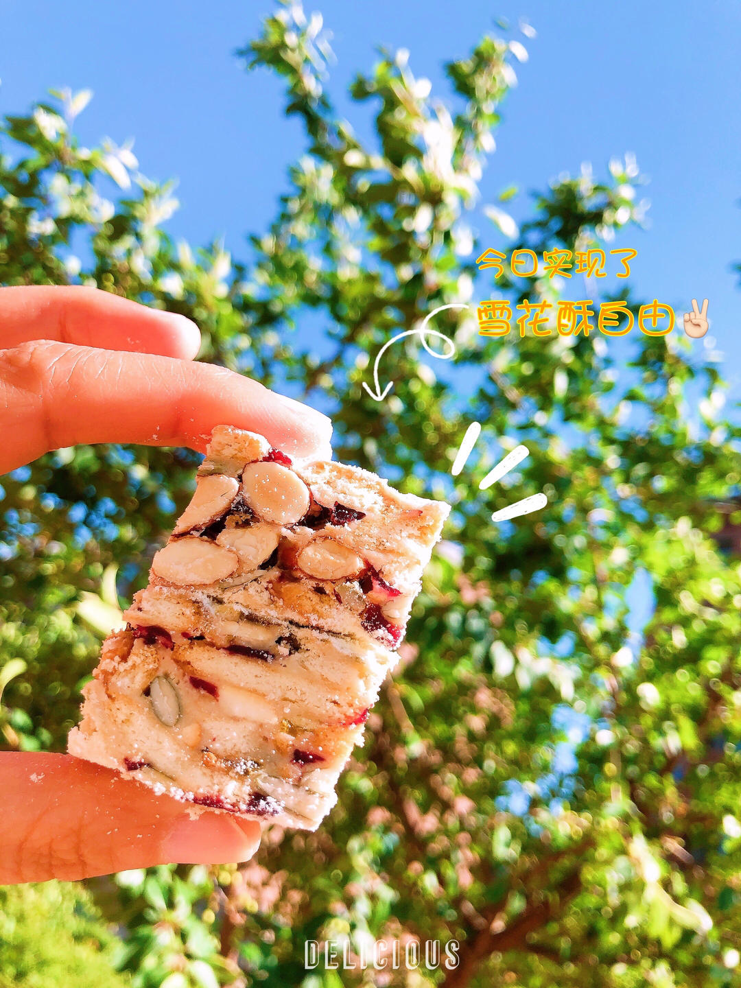 雪花酥  不甜版