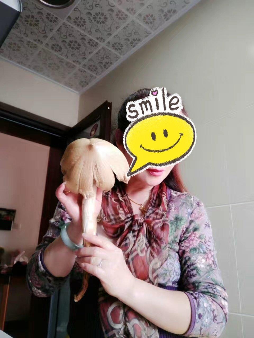 油鸡枞·人间至美