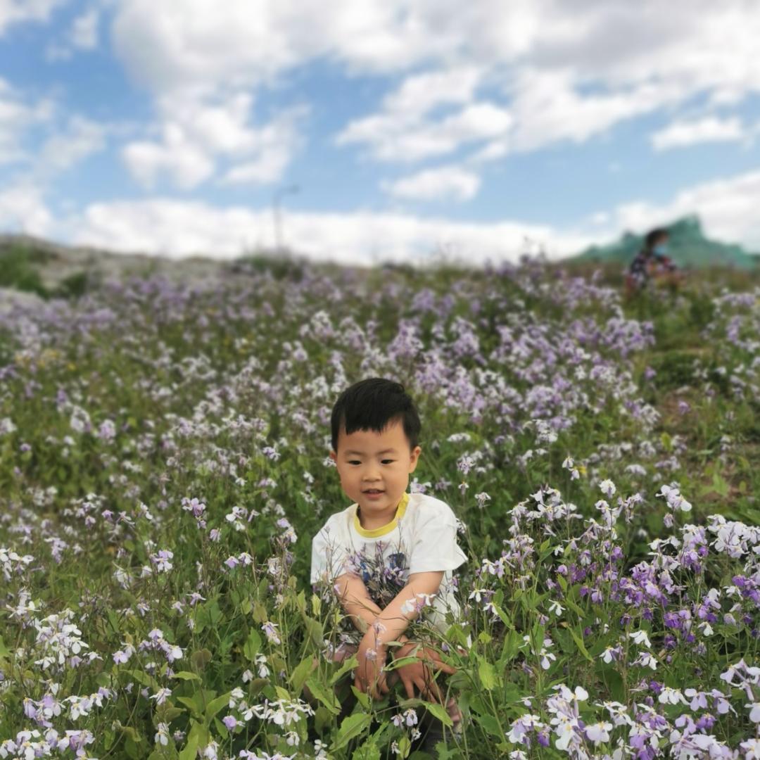 月光倾城照