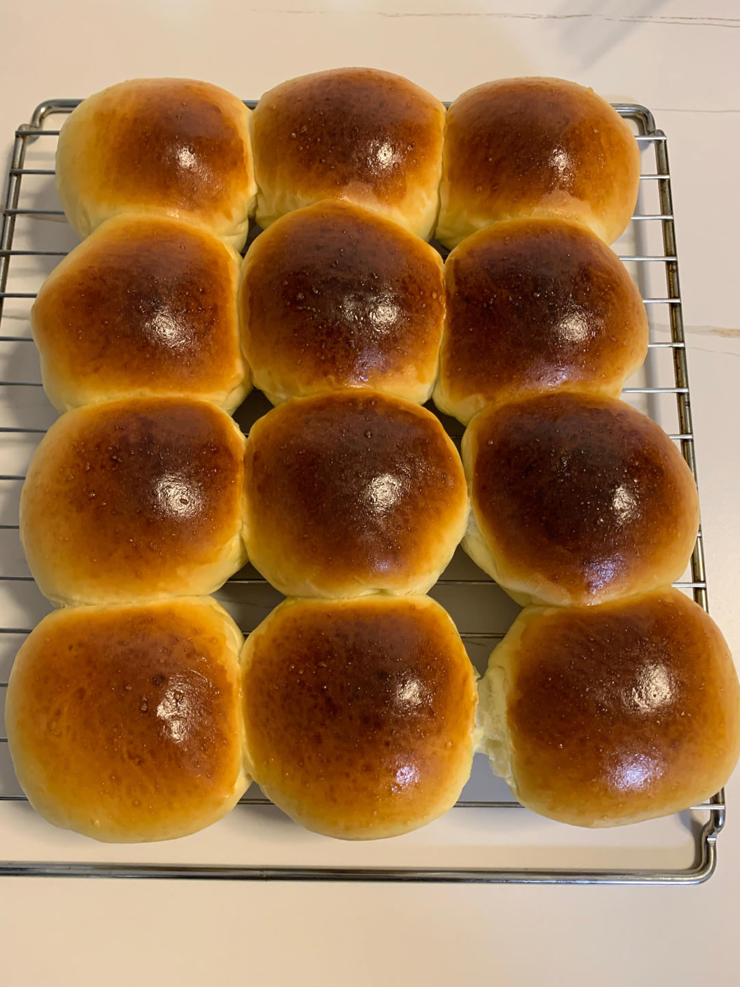 牛奶肉松小餐包（一次发酵）