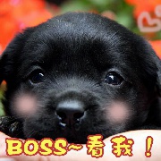 vv小艾玛vv