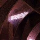 手机用户8007_1i7m