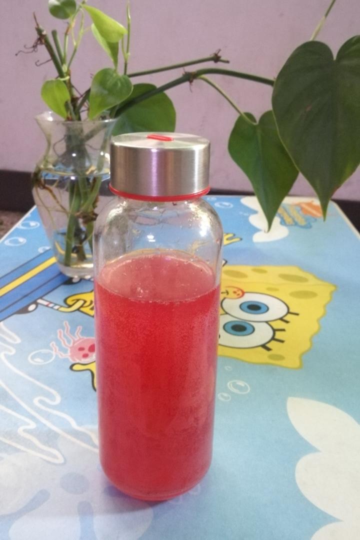 小船-12做的杨梅酵素