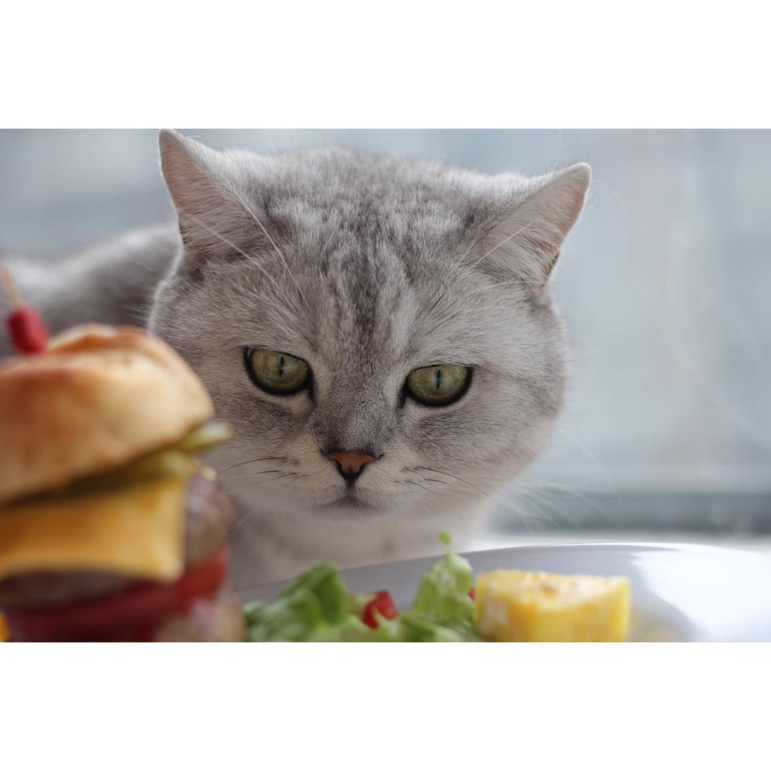 正宗的麦当劳双吉牛肉汉堡