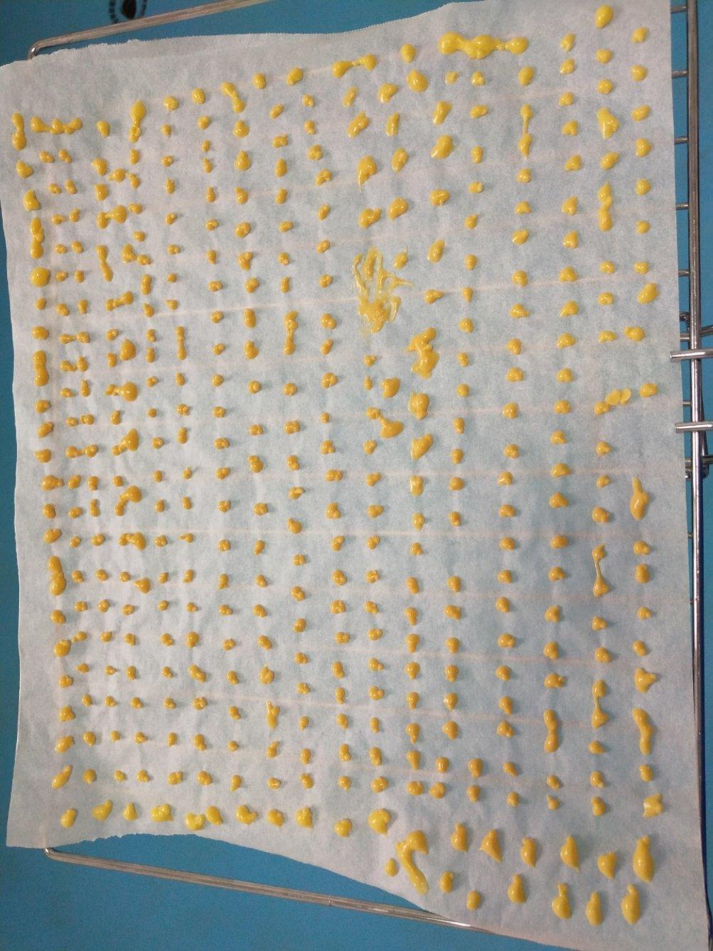 溶豆（纯蛋黄版）