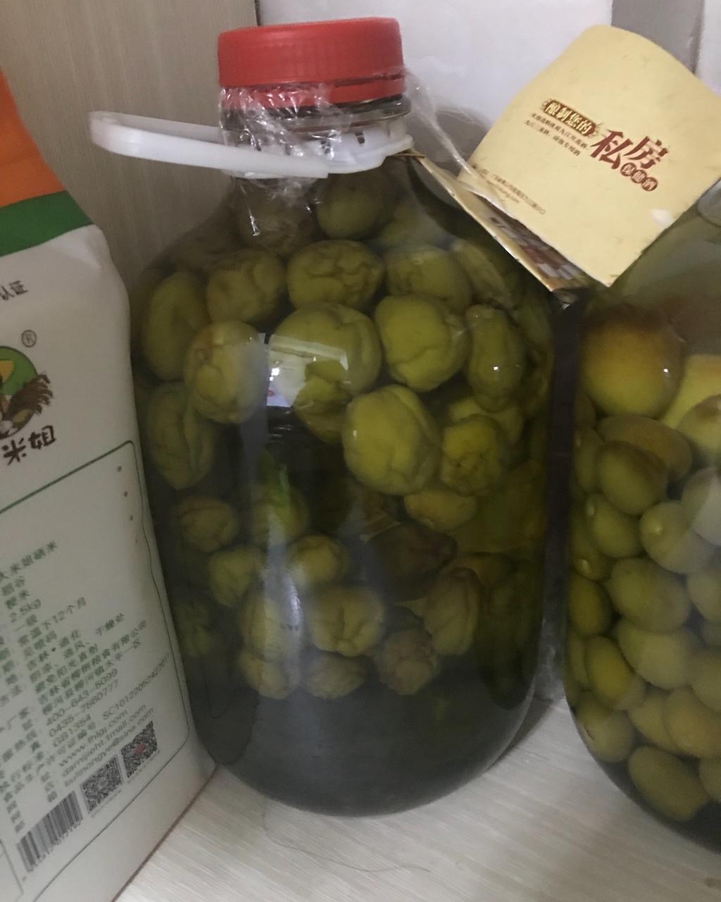 【青梅酒】梅子的沉醉时光（已填坑）