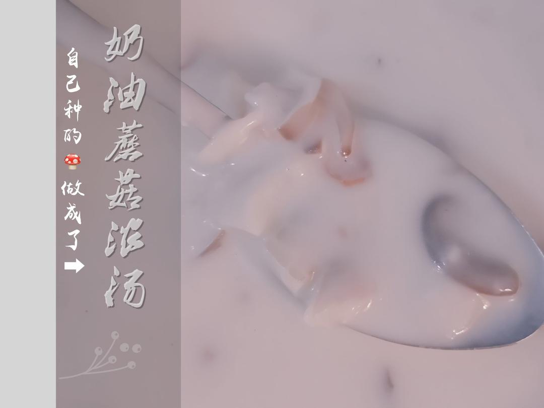 奶油蘑菇汤（完美比例版）