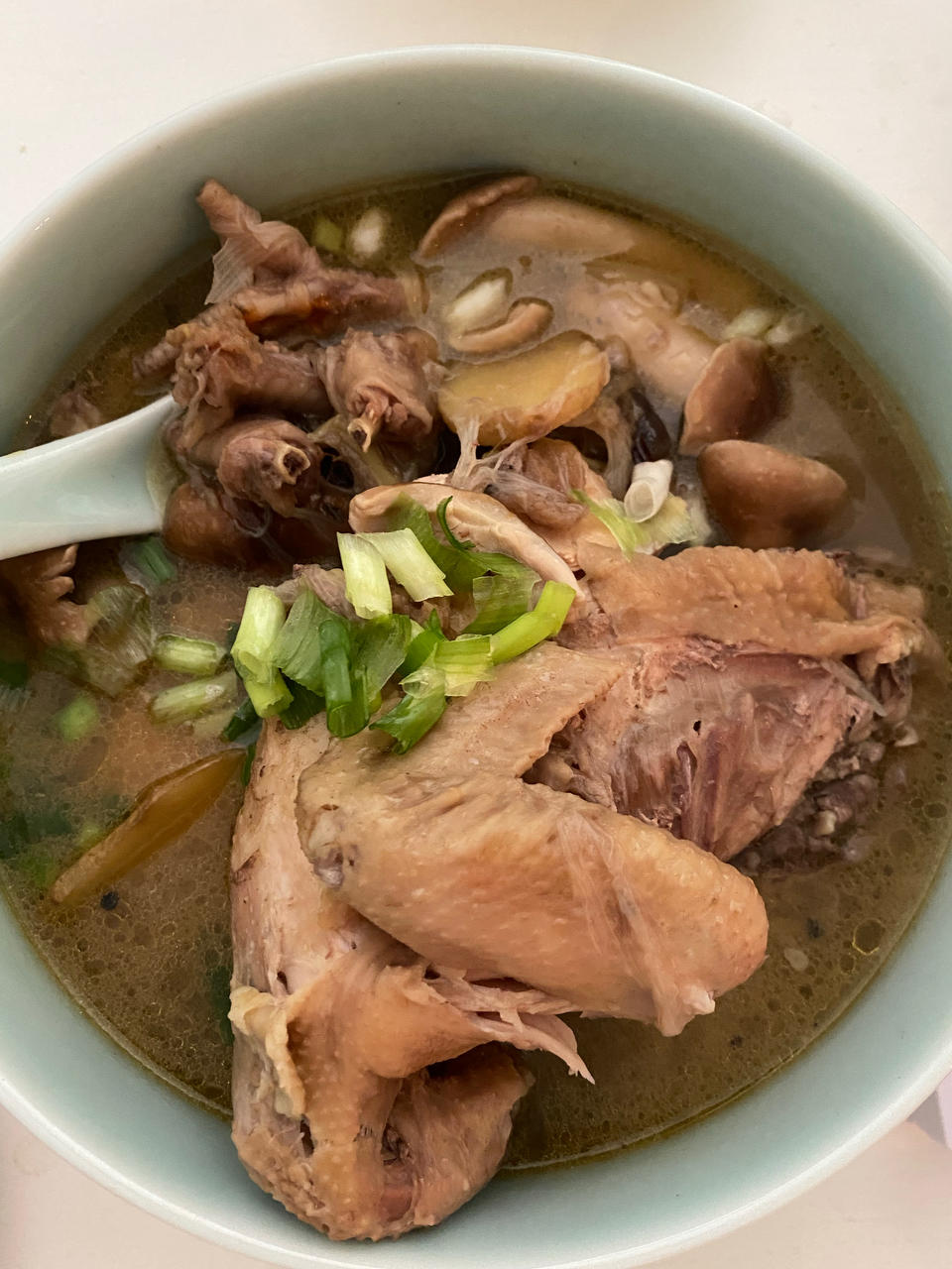 鲜美无敌：清炖鸡汤🐔