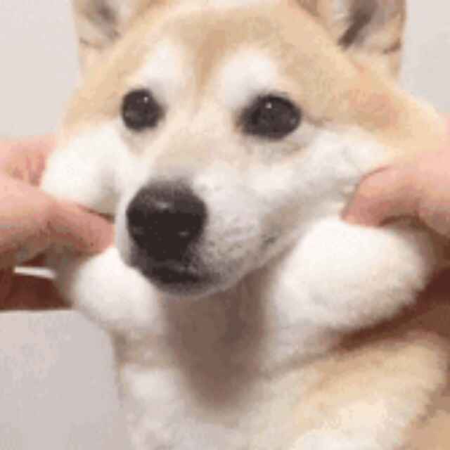 什么名你们都抢