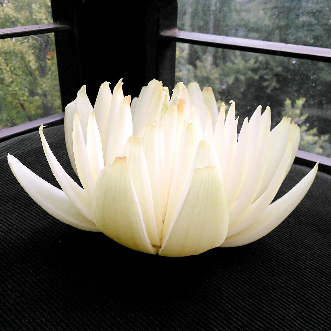 洋葱莲花的做法