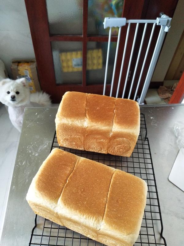 水合法特级炼乳棉白吐司