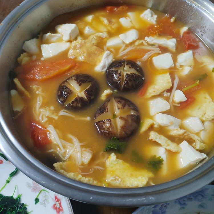 西红柿菌菇豆腐汤
